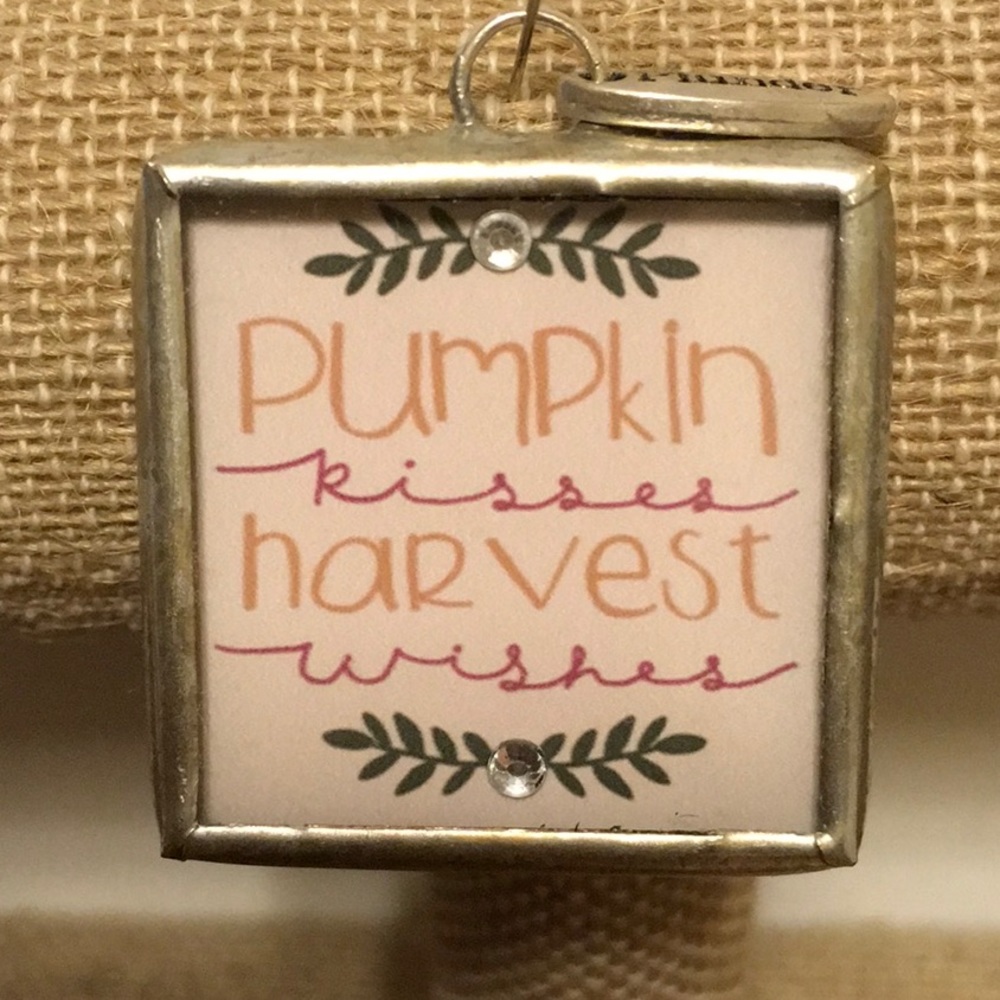 Pumpkin 🎃 Harvest Charm -Retired
